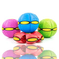PetBall™  - Diversão Garantida Para o Seu Pet