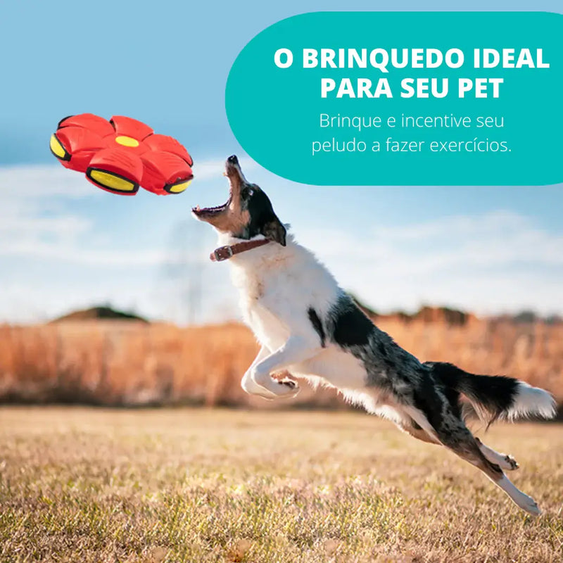 PetBall™  - Diversão Garantida Para o Seu Pet