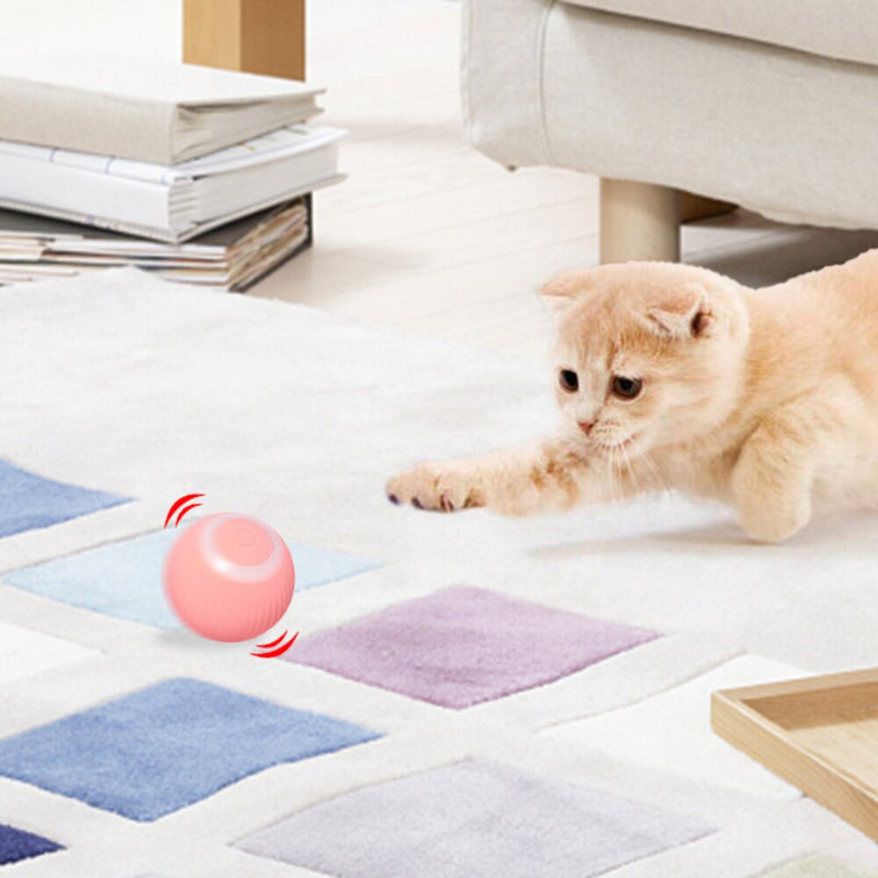 Bola Interativa PetPlay™