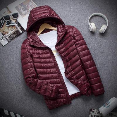 Nova Jaqueta Maximus Sports com Gomos Ultra leve - Nossa Casa Completa