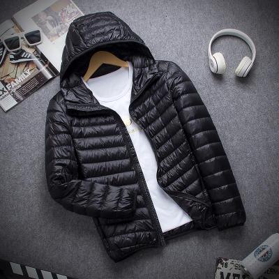 Nova Jaqueta Maximus Sports com Gomos Ultra leve - Nossa Casa Completa