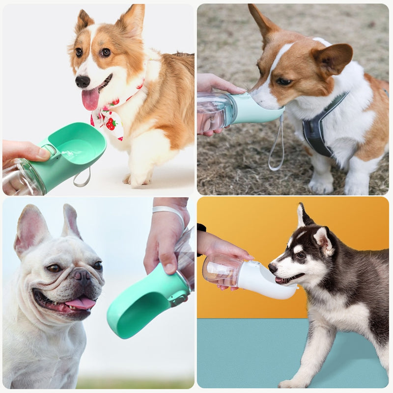 PetHidrate - Garrafa 2 em 1 para Cães e Gatos