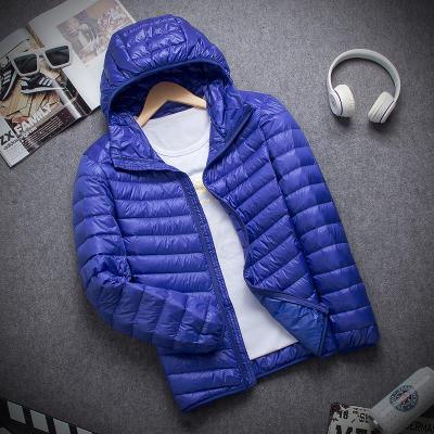 Nova Jaqueta Maximus Sports com Gomos Ultra leve - Nossa Casa Completa